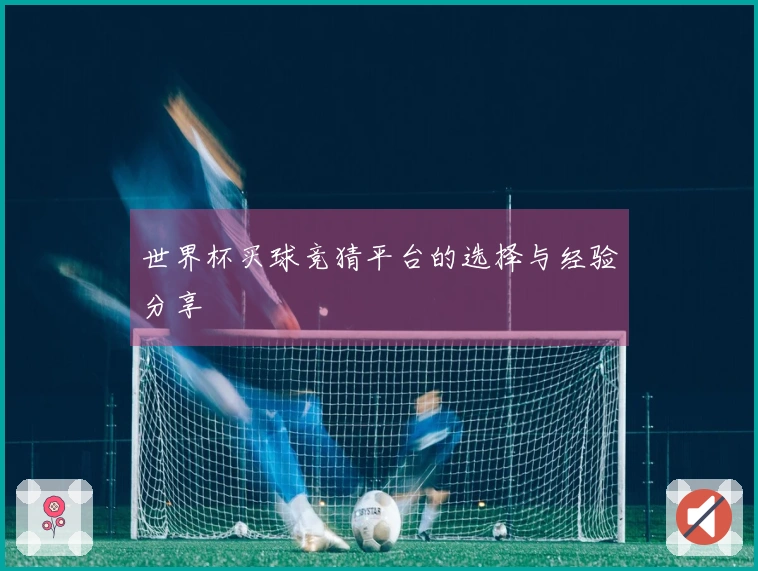 世界杯买球竞猜平台的选择与经验分享