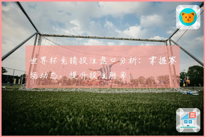 世界杯竞猜投注盘口分析：掌握赛场动态，提升投注胜率