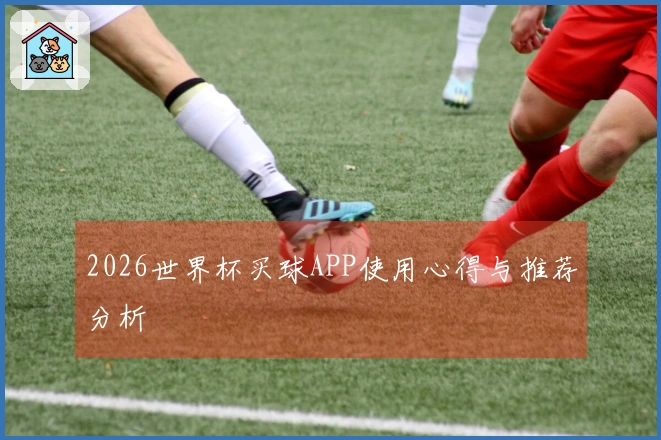 2026世界杯买球APP使用心得与推荐分析