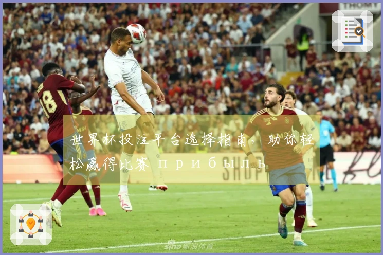 世界杯投注平台选择指南，助你轻松赢得比赛 прибыль